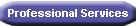 Professional Services
